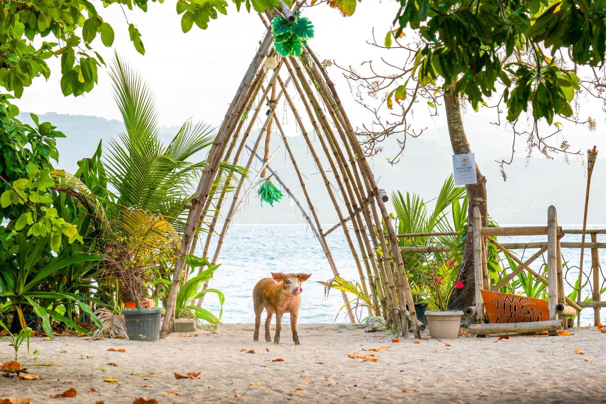 Hotel Isla - The Island Experience El Nido Exterior foto
